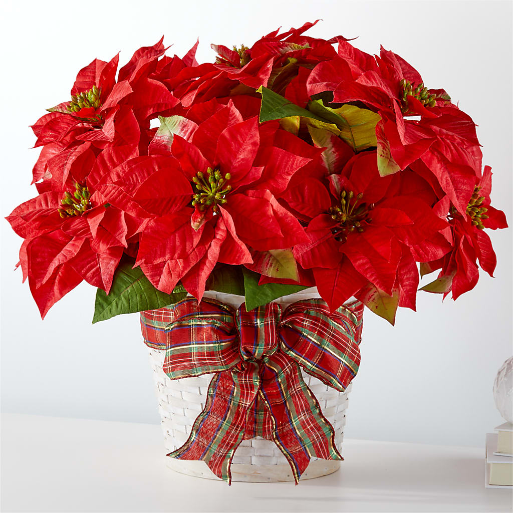 Happiest Holidays Poinsettia – Micaelas Flowers And Gifts, Tulsa OK