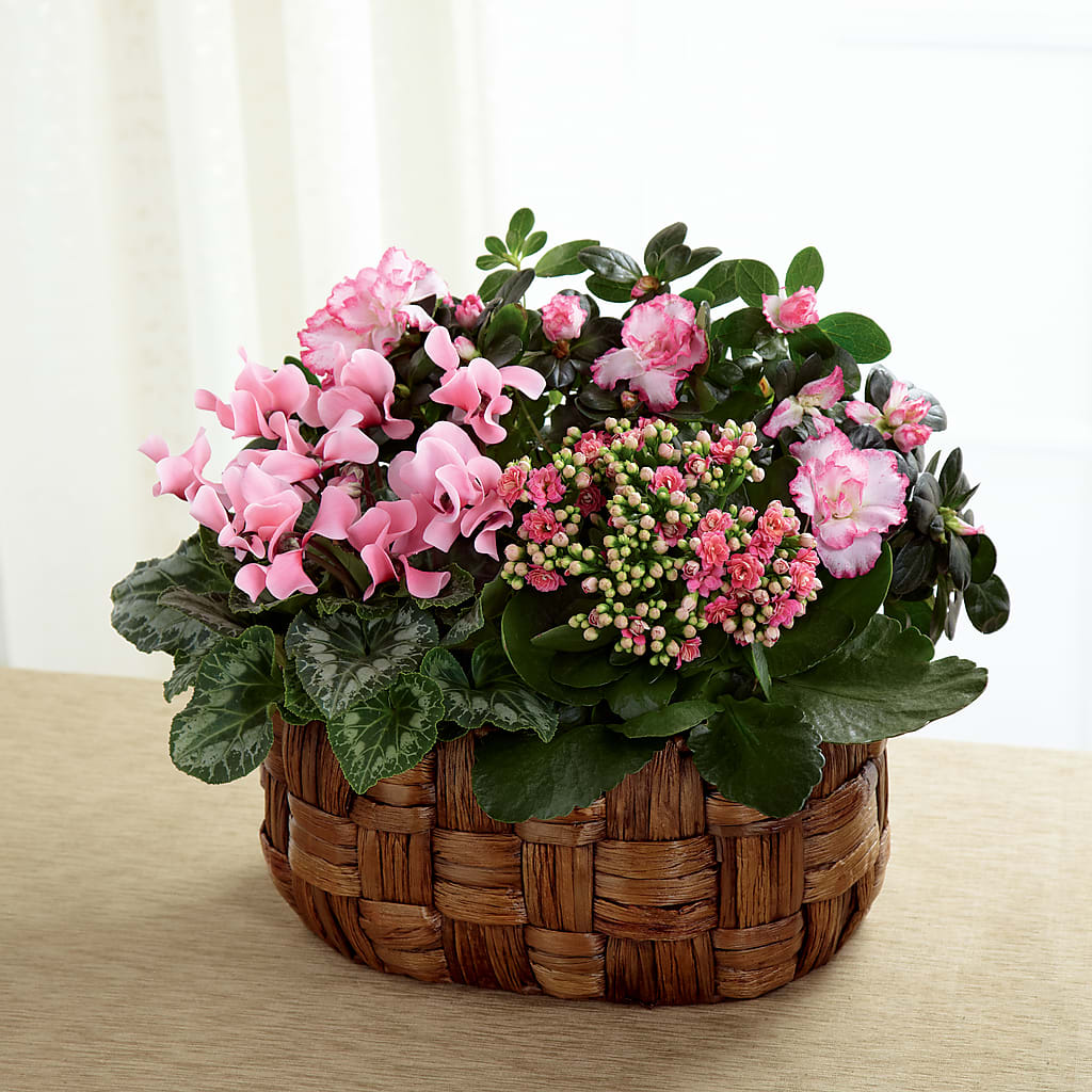 Pink Assortment – Micaelas Flowers And Gifts, Tulsa OK