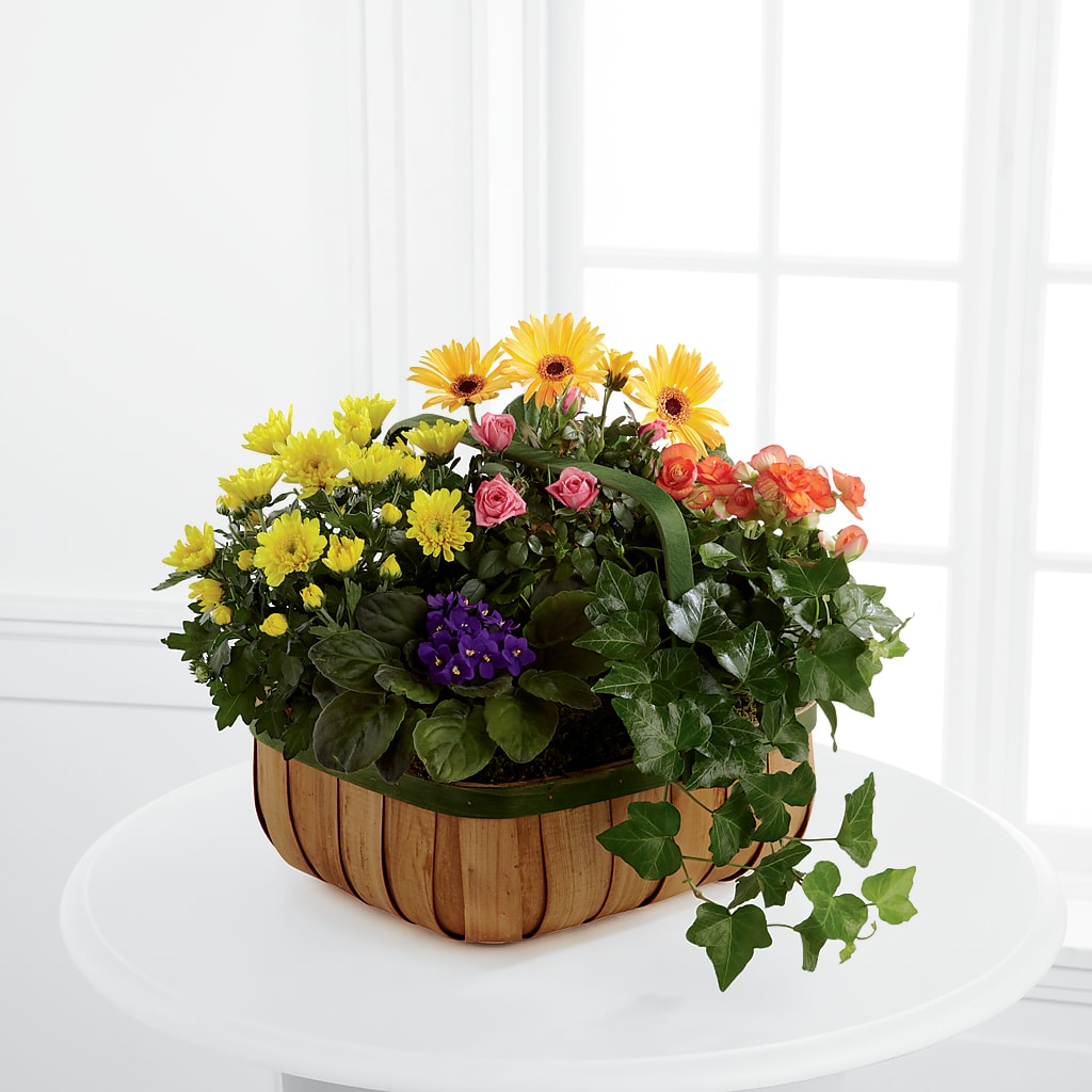 Gentle Blossoms Basket – Micaelas Flowers And Gifts, Tulsa OK