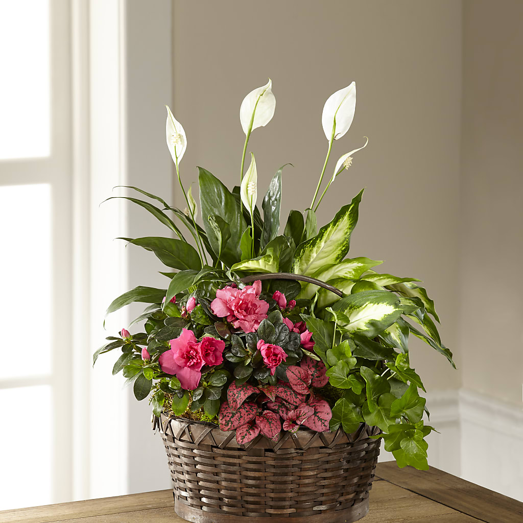 Dream in Pink Dishgarden – Micaelas Flowers And Gifts, Tulsa OK