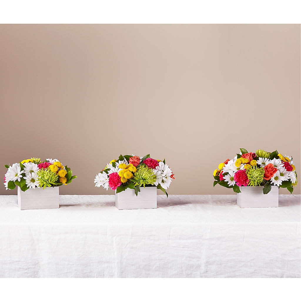 Sorbet Bouquet – Micaelas Flowers And Gifts, Tulsa OK