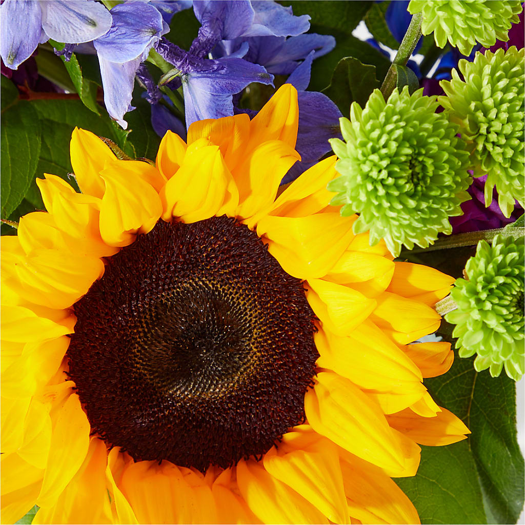 Catching Rays Bouquet – Micaelas Flowers And Gifts, Tulsa OK