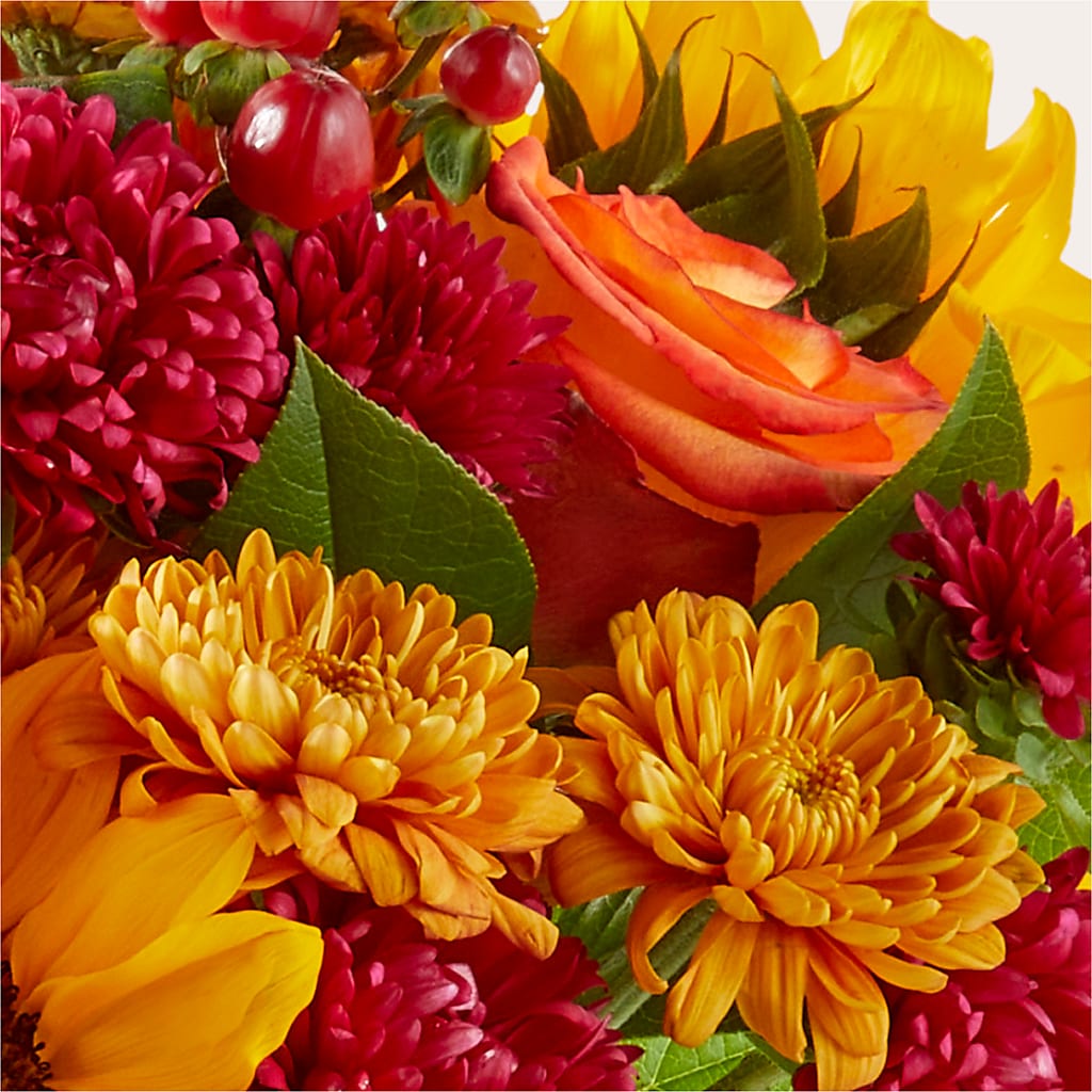 Sweater Season - A Florist Original – Micaelas Flowers And Gifts, Tulsa OK