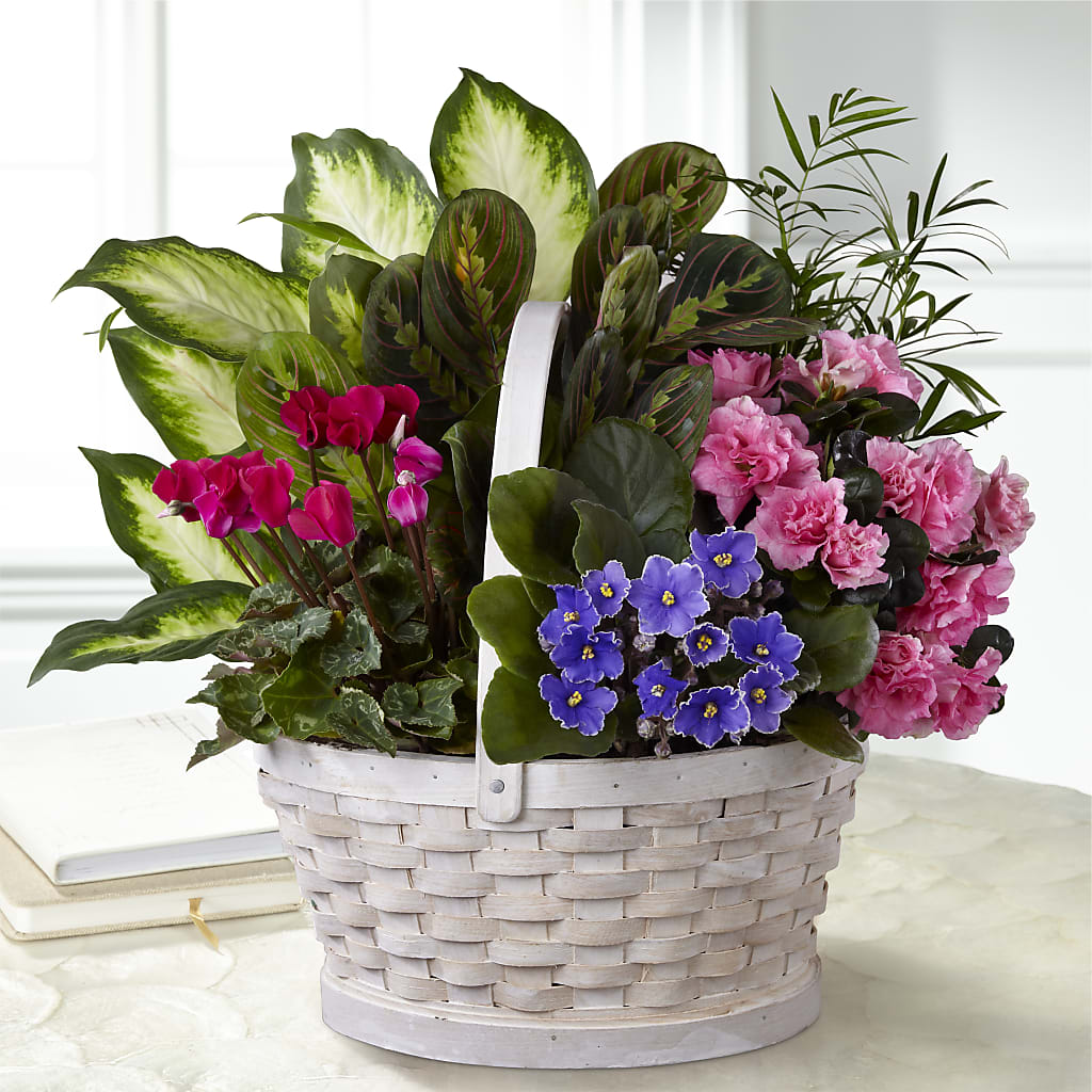 Peaceful Garden Planter – Micaelas Flowers And Gifts, Tulsa OK
