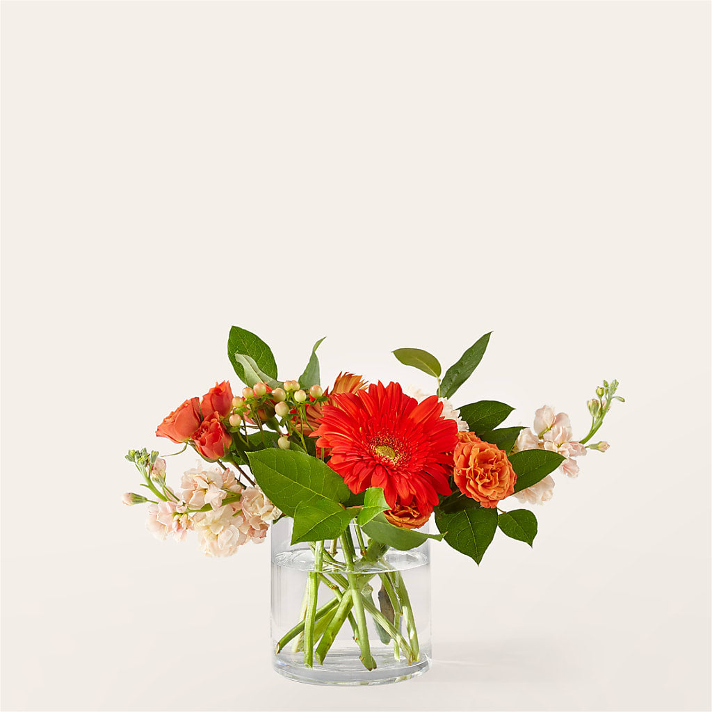 Paloma Please Bouquet – Micaelas Flowers And Gifts, Tulsa OK