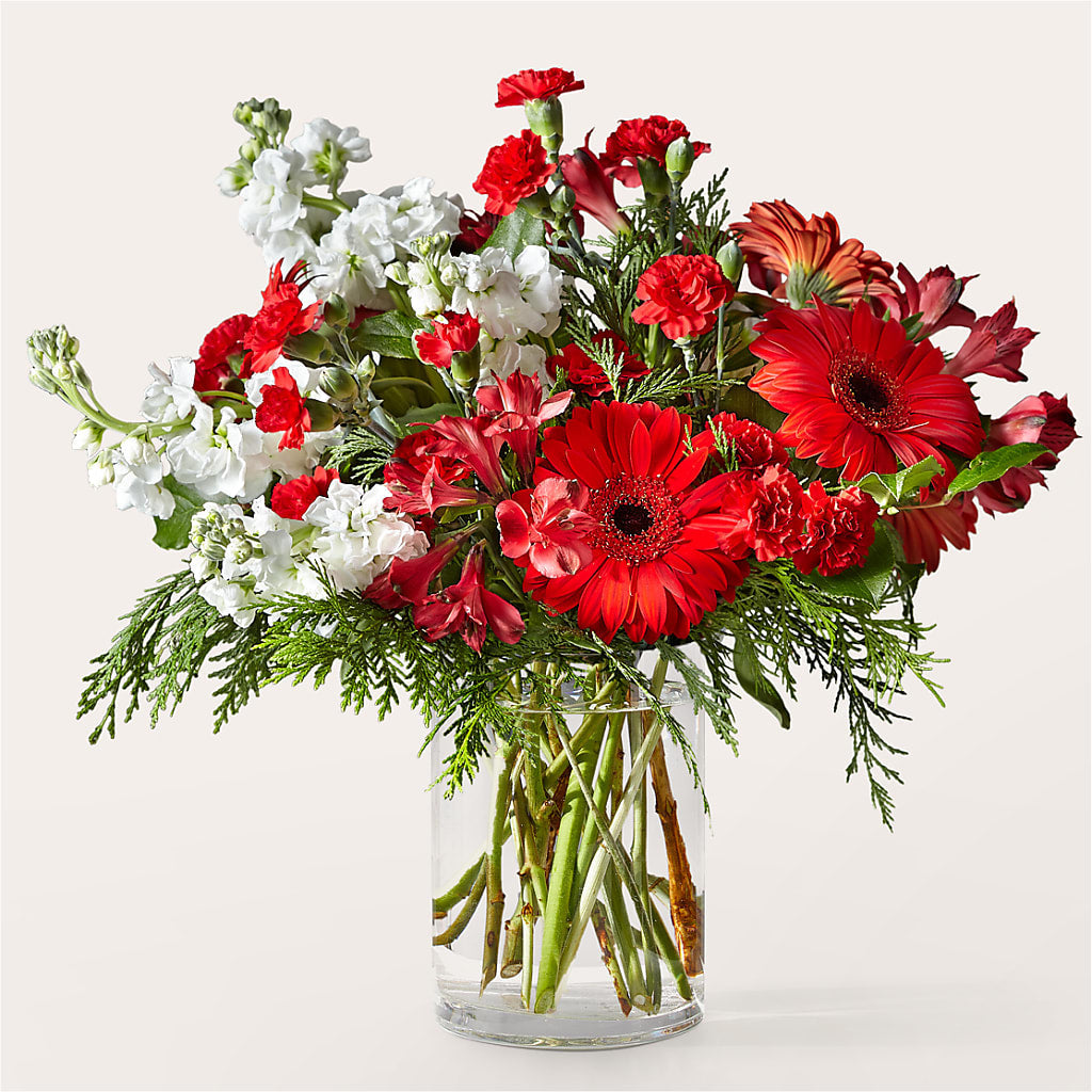 Holidaisy Bouquet – Micaelas Flowers And Gifts, Tulsa OK