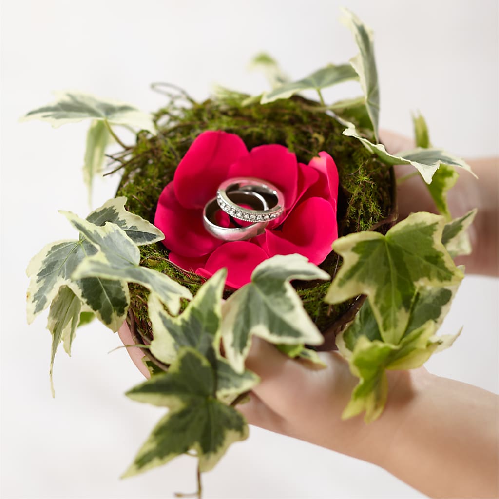 Lila Rose Ring Nest – Micaelas Flowers And Gifts, Tulsa OK