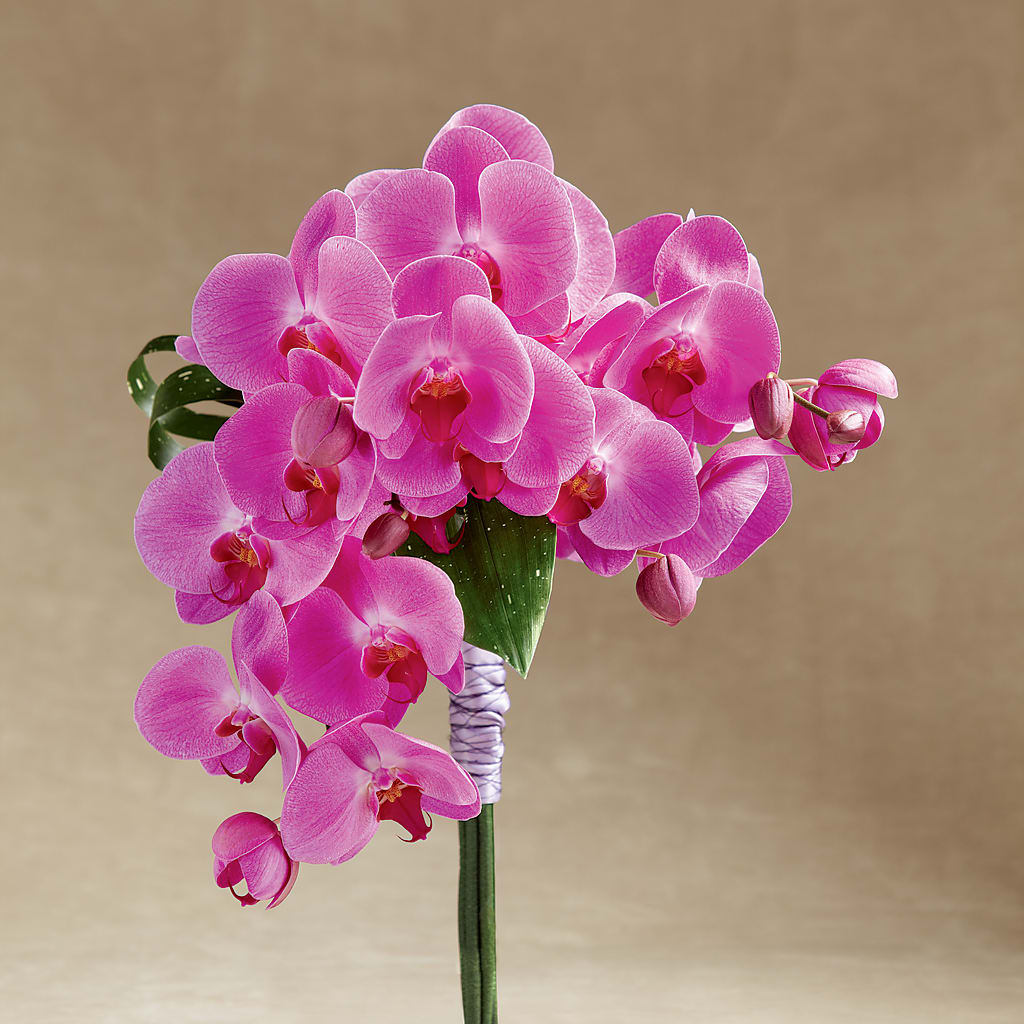 Glorious Bouquet – Micaelas Flowers And Gifts, Tulsa OK