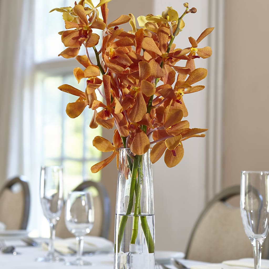 Orange Mokara Bud Vase – Micaelas Flowers And Gifts, Tulsa OK