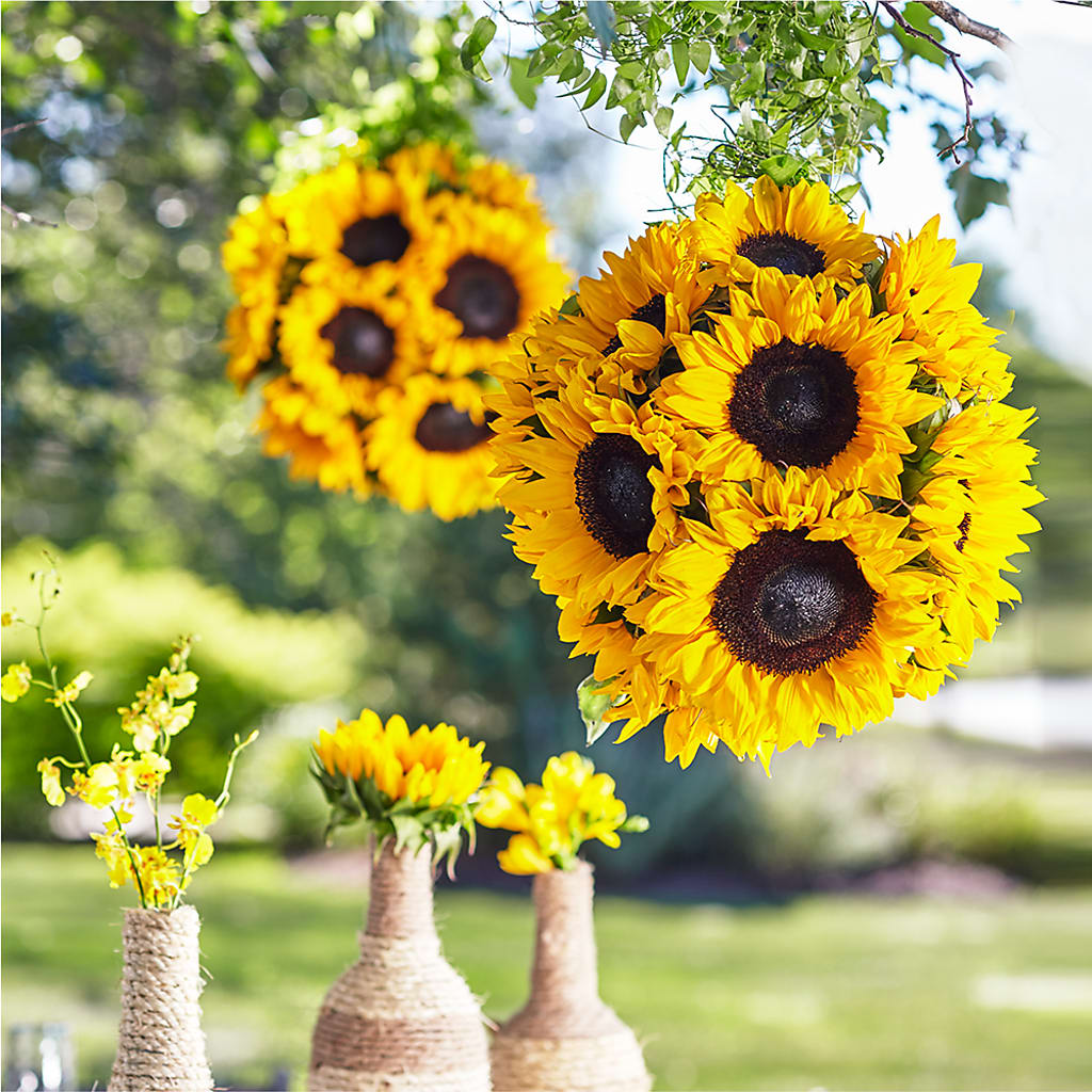 Sublime Garden Hanging Arrangement – Micaelas Flowers And Gifts, Tulsa OK