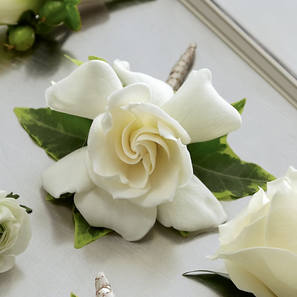 Gardenia Boutonniere – Micaelas Flowers And Gifts, Tulsa OK