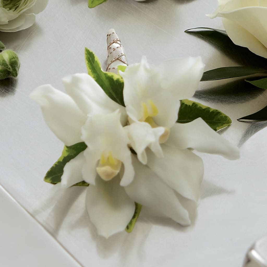 White Mini Cymbidium Boutonniere – Micaelas Flowers And Gifts, Tulsa OK