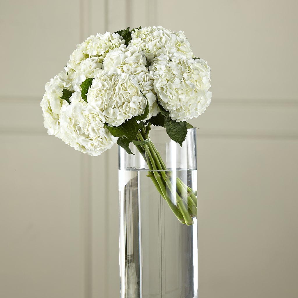 White Hydrangea Hand-Tied Bouquet – Micaelas Flowers And Gifts, Tulsa OK