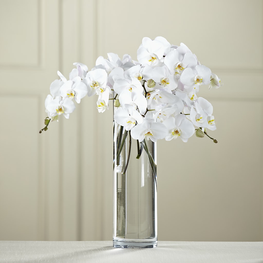 White Phalaenopsis Bouquet – Micaelas Flowers And Gifts, Tulsa OK