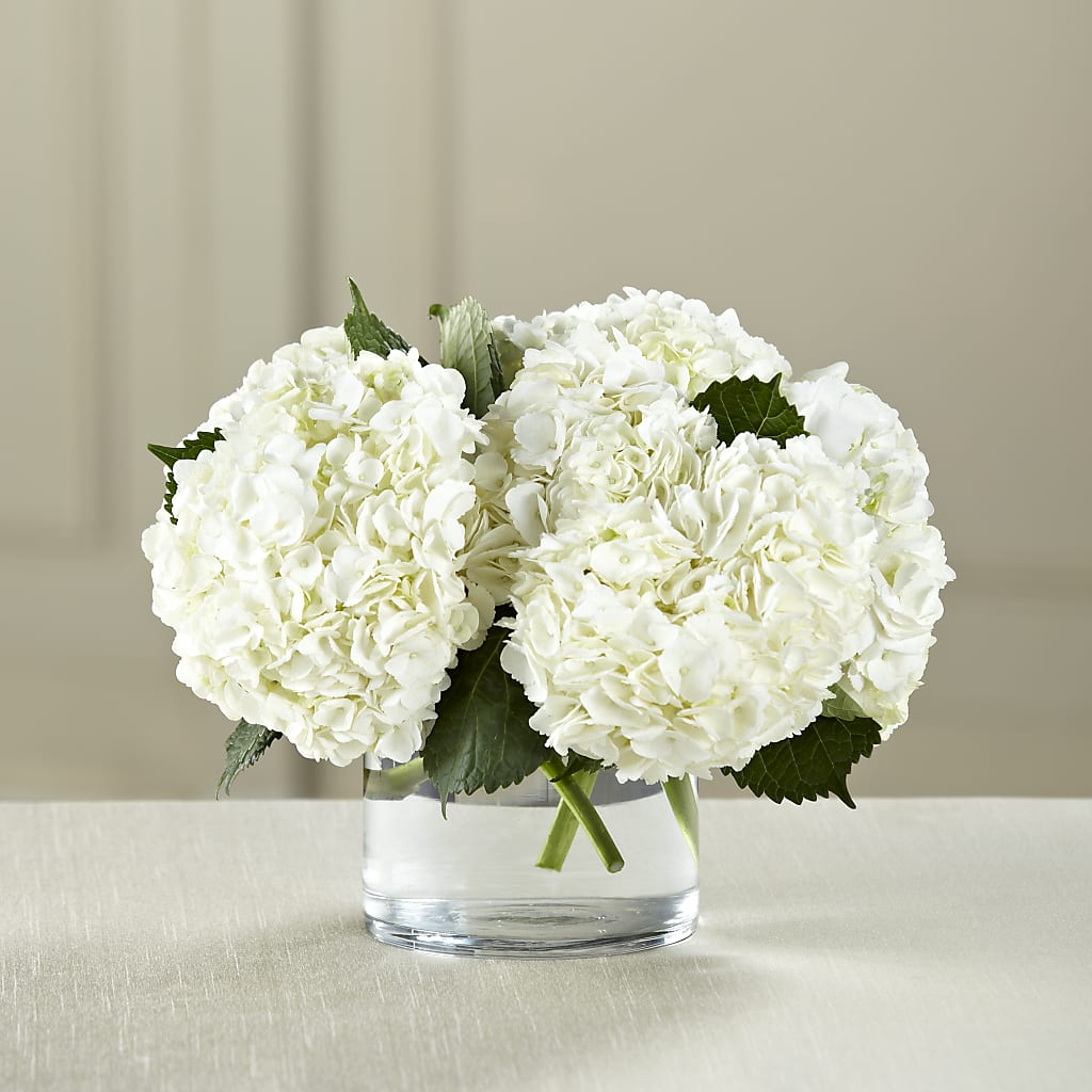 White Hydrangea Bouquet – Micaelas Flowers And Gifts, Tulsa OK
