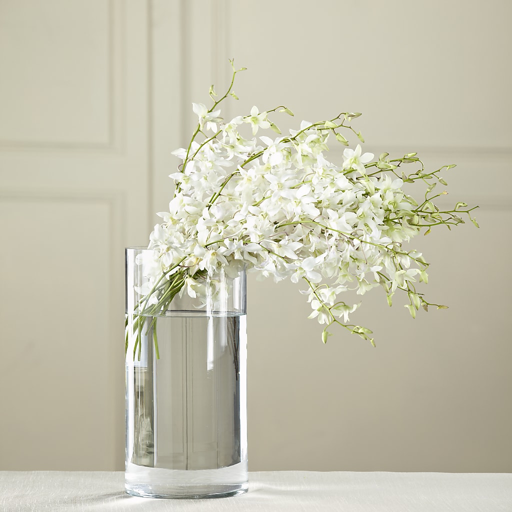 White Dendrobium Bouquet – Micaelas Flowers And Gifts, Tulsa OK