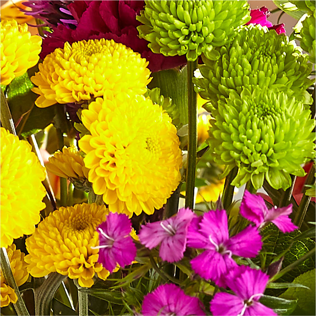 Bold & Bright – A Florist Original –  Micaelas Flowers And Gifts, Tulsa OK