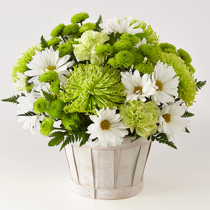 Lucky Charm Basket (Standard) –  Micaelas Flowers And Gifts, Tulsa OK