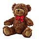 Adorable Plush Bear –  Micaelas Flowers And Gifts, Tulsa OK