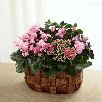 Pink Assortment –  Micaelas Flowers And Gifts, Tulsa OK