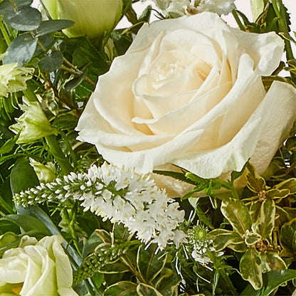 Cashmere Bouquet –  Micaelas Flowers And Gifts, Tulsa OK