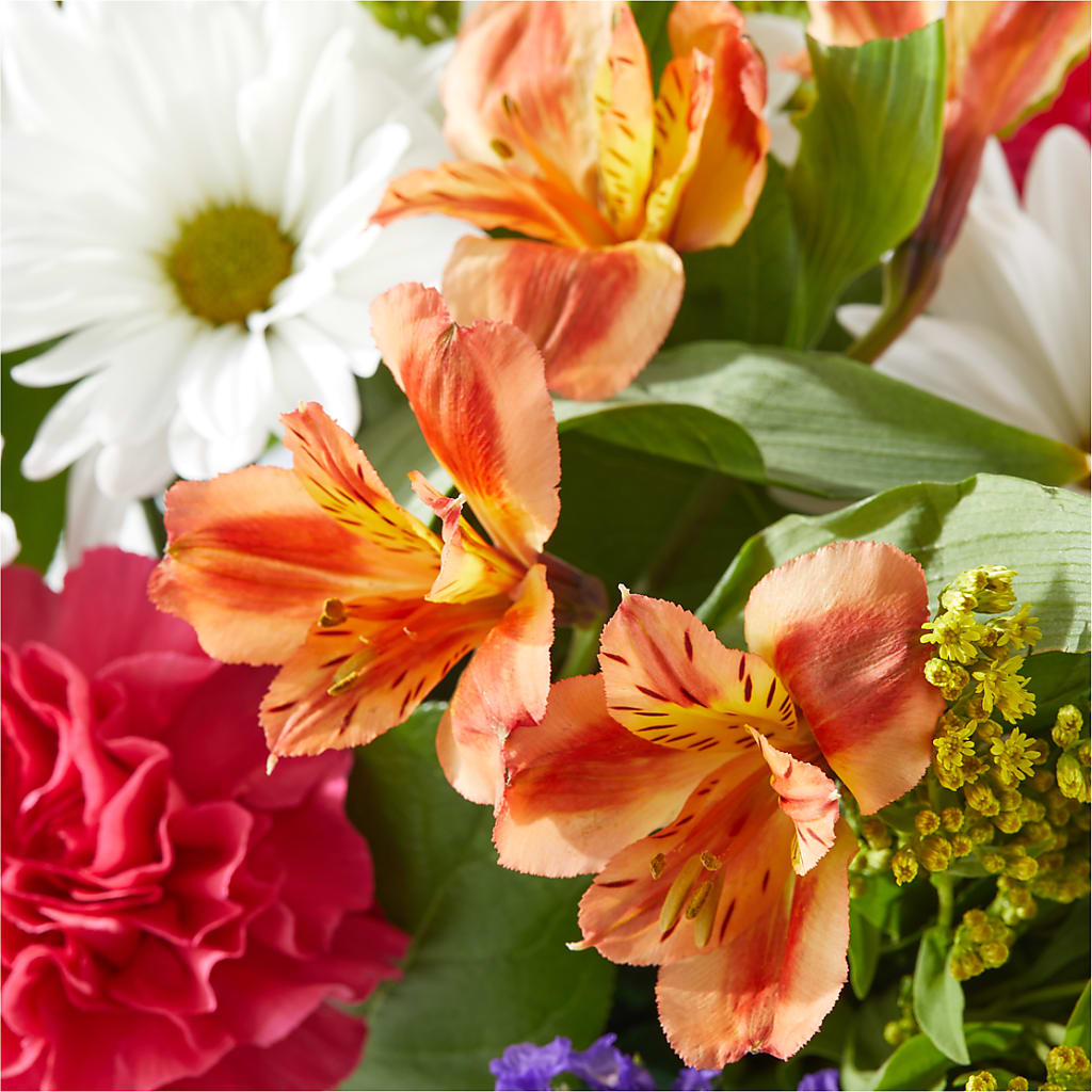 Oopsie Daisy Box Bouquet –  Micaelas Flowers And Gifts, Tulsa OK
