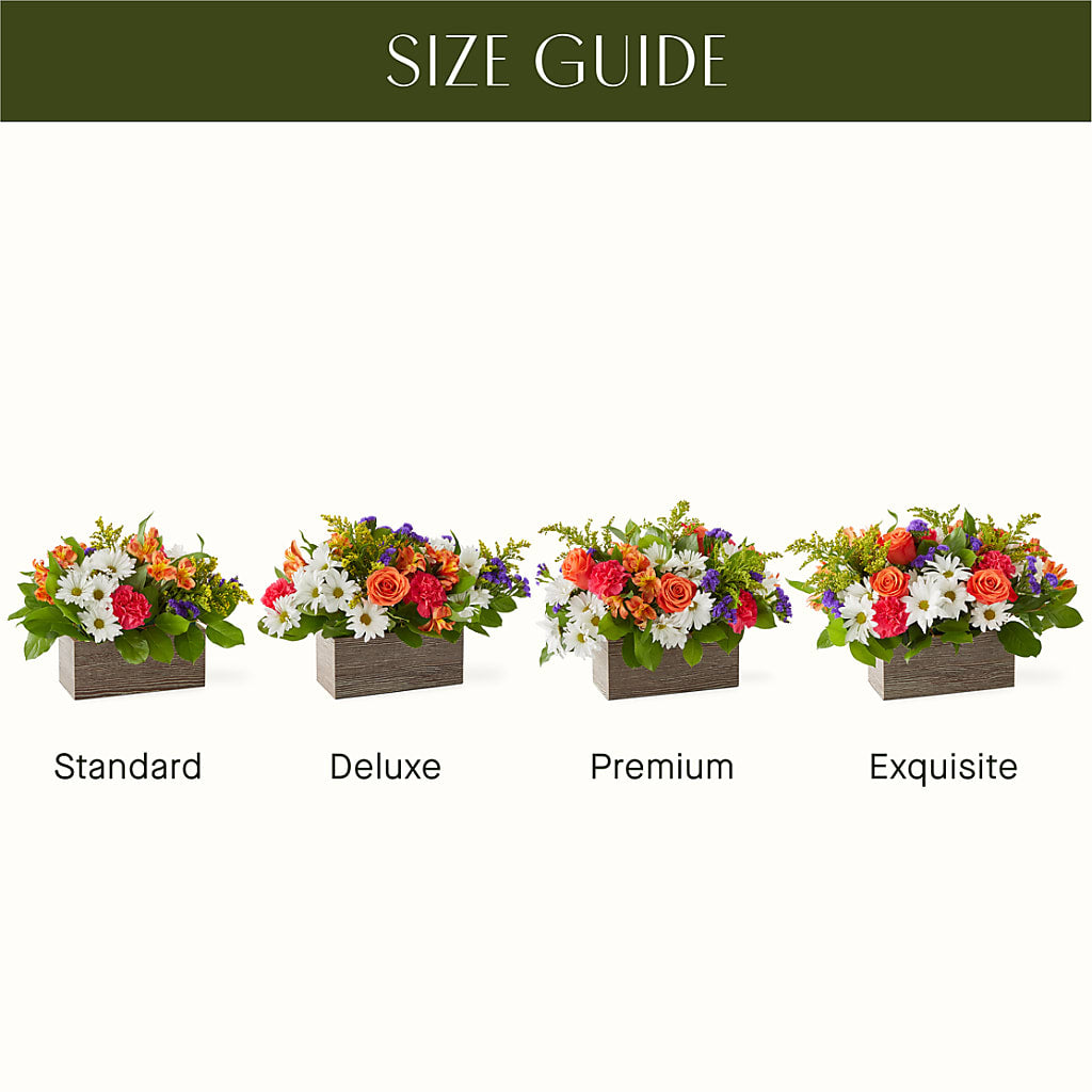Oopsie Daisy Box Bouquet –  Micaelas Flowers And Gifts, Tulsa OK