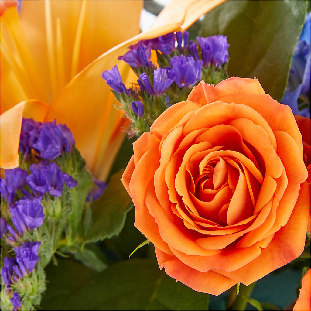 Radiant Citrus Box Bouquet –  Micaelas Flowers And Gifts, Tulsa OK