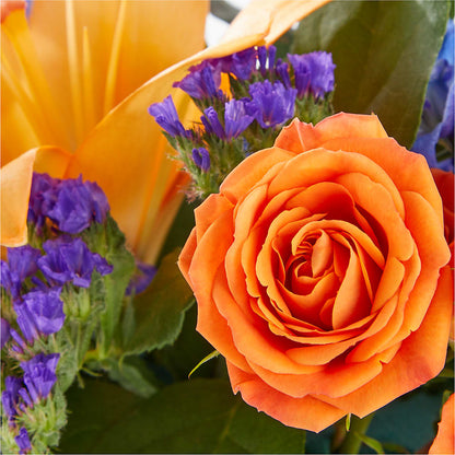 Radiant Citrus Box Bouquet –  Micaelas Flowers And Gifts, Tulsa OK