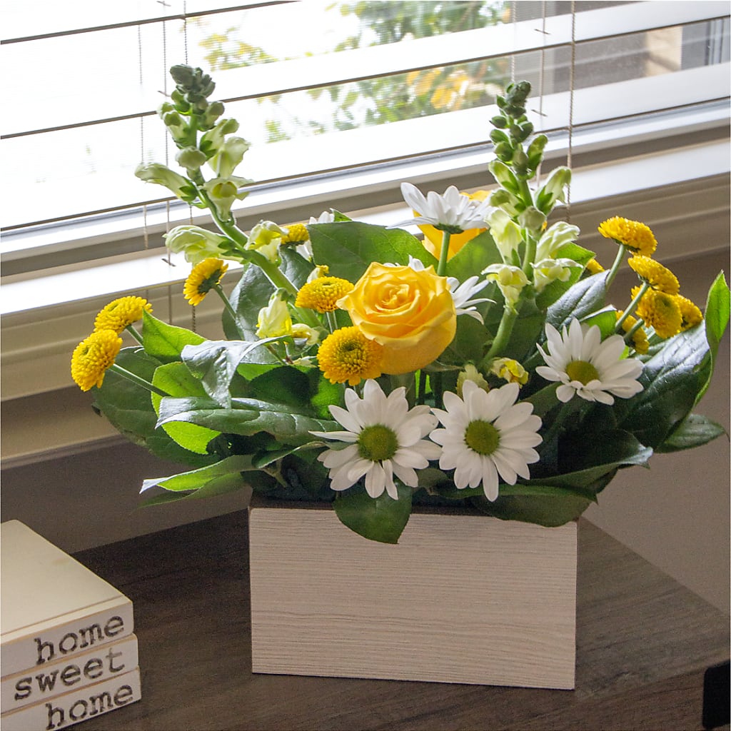 Sun Salutation Box Bouquet –  Micaelas Flowers And Gifts, Tulsa OK