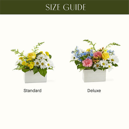 Sun Salutation Box Bouquet –  Micaelas Flowers And Gifts, Tulsa OK