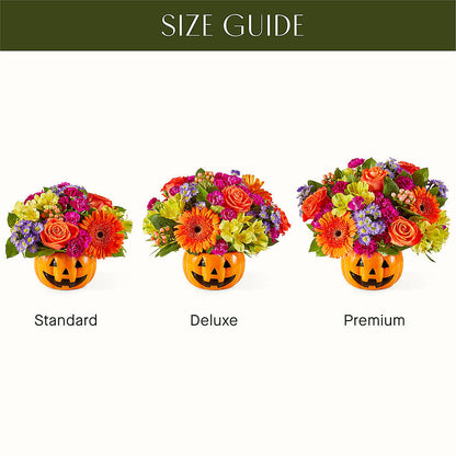 Tricks & Treats Pumpkin –  Micaelas Flowers And Gifts, Tulsa OK