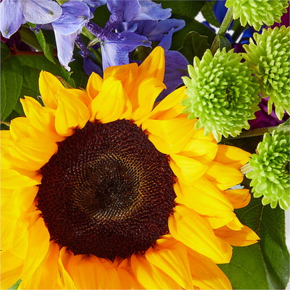 Catching Rays Bouquet –  Micaelas Flowers And Gifts, Tulsa OK
