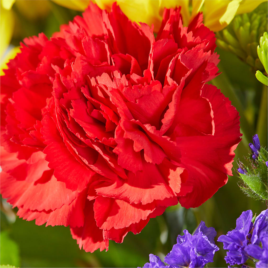 Brighter Days Bouquet –  Micaelas Flowers And Gifts, Tulsa OK