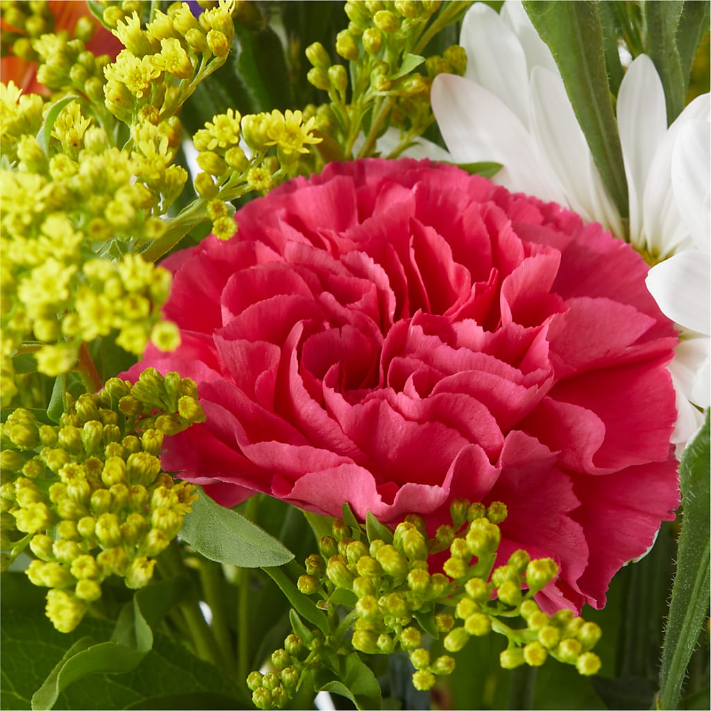 Oopsie Daisy Bouquet –  Micaelas Flowers And Gifts, Tulsa OK