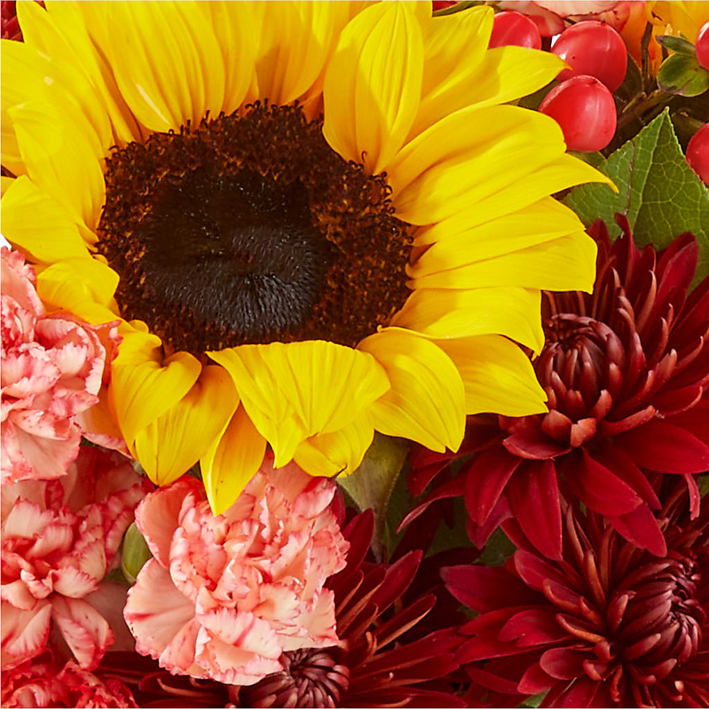 Fresh Cider Bouquet –  Micaelas Flowers And Gifts, Tulsa OK