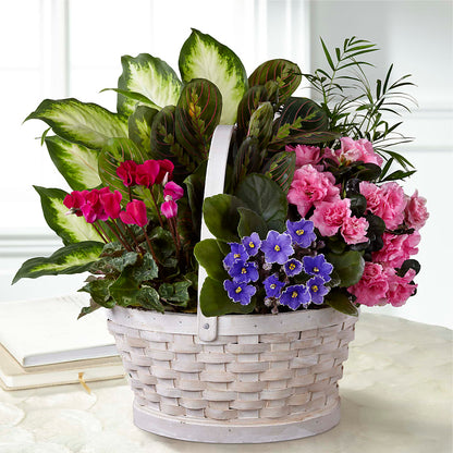 Peaceful Garden Planter –  Micaelas Flowers And Gifts, Tulsa OK
