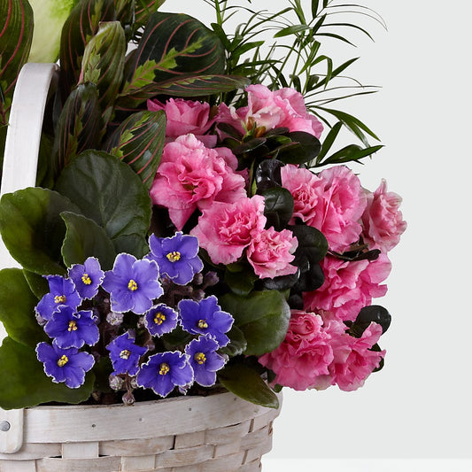 Peaceful Garden Planter –  Micaelas Flowers And Gifts, Tulsa OK
