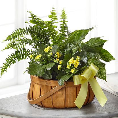 Always Dear Dishgarden –  Micaelas Flowers And Gifts, Tulsa OK