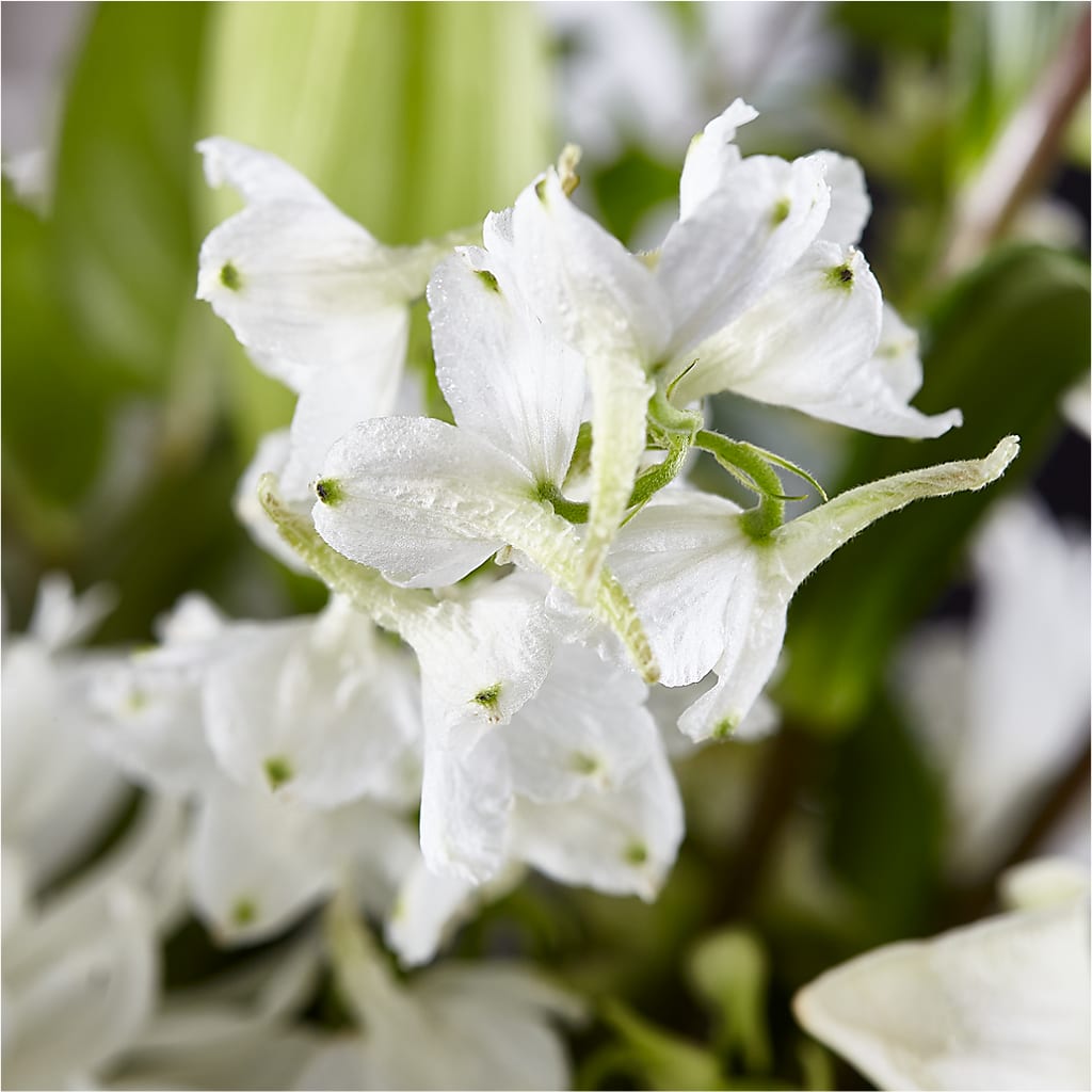Classic Ivory – A Florist Original –  Micaelas Flowers And Gifts, Tulsa OK