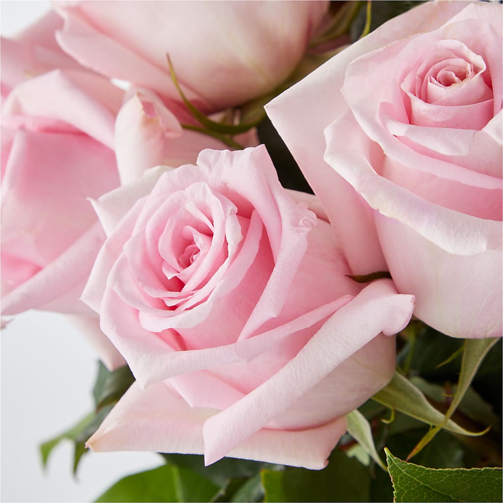 Picture Perfect Pink Rose Bouquet –  Micaelas Flowers And Gifts, Tulsa OK