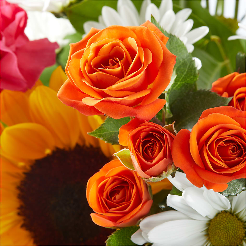Sun-drenched Blooms Bouquet –  Micaelas Flowers And Gifts, Tulsa OK