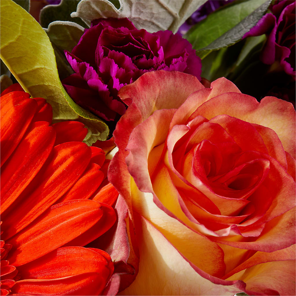 Sangria Bouquet –  Micaelas Flowers And Gifts, Tulsa OK
