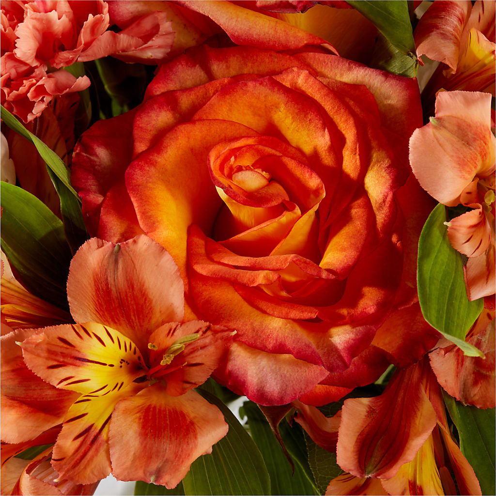 Apricot Glow Bouquet –  Micaelas Flowers And Gifts, Tulsa OK