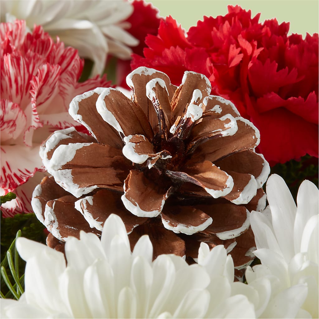 Candy Cane Lane Bouquet –  Micaelas Flowers And Gifts, Tulsa OK