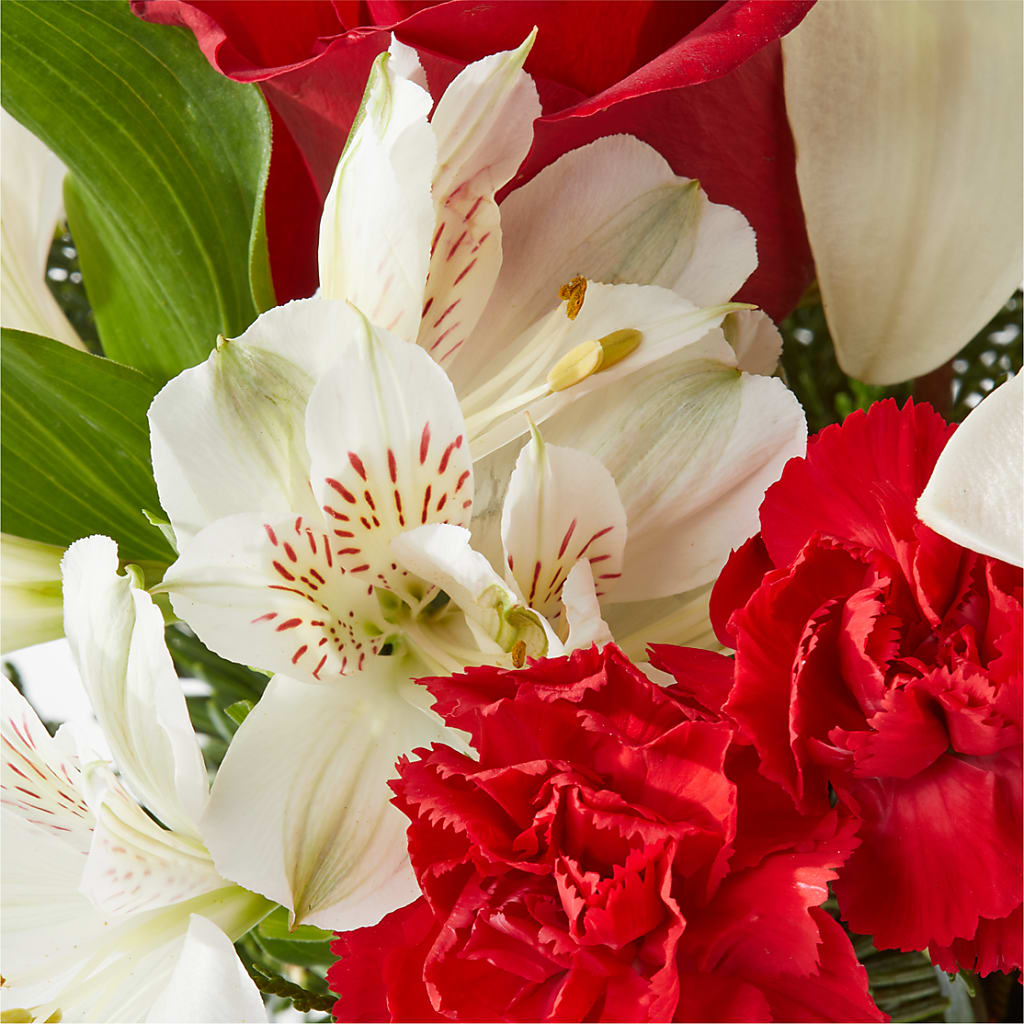 Holiday Season Bouquet –  Micaelas Flowers And Gifts, Tulsa OK