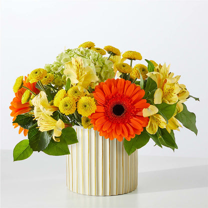 Autumn Sunshine Bouquet with Ivory Vase –  Micaelas Flowers And Gifts, Tulsa OK