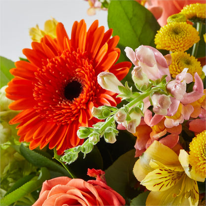 Autumn Sunshine Bouquet –  Micaelas Flowers And Gifts, Tulsa OK