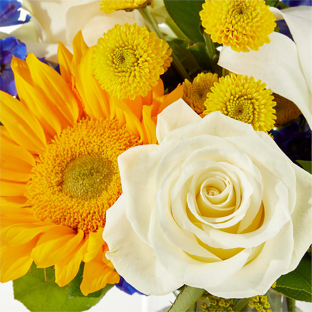 Stargazing Bouquet –  Micaelas Flowers And Gifts, Tulsa OK