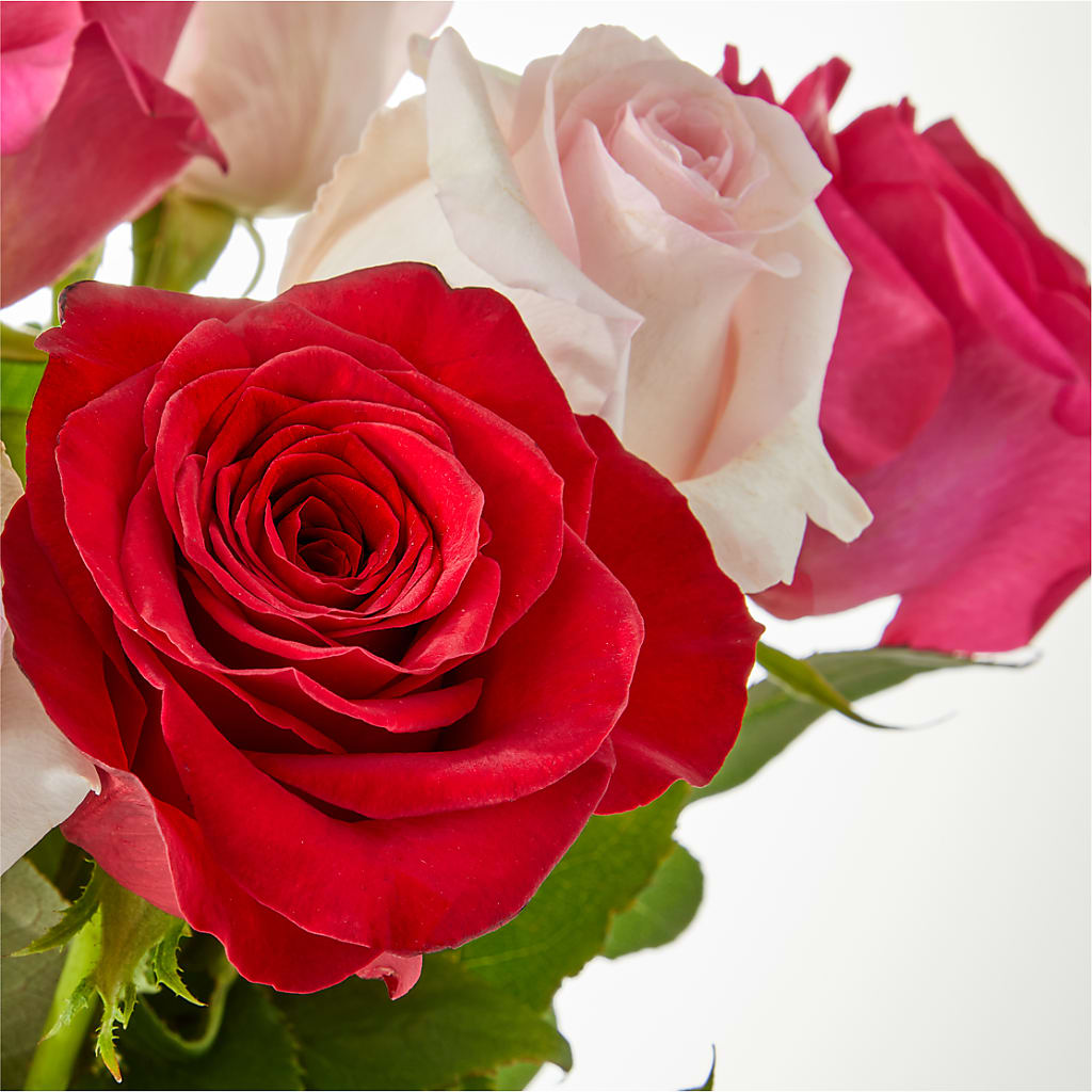 Charming Rose Bouquet –  Micaelas Flowers And Gifts, Tulsa OK